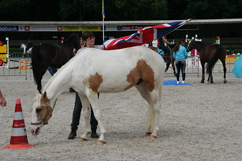 Afbeelding