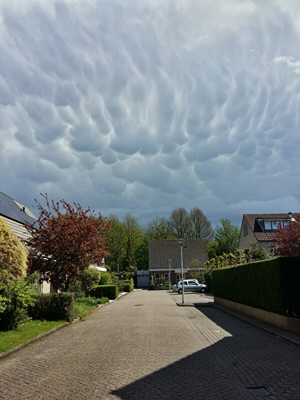 Afbeelding
