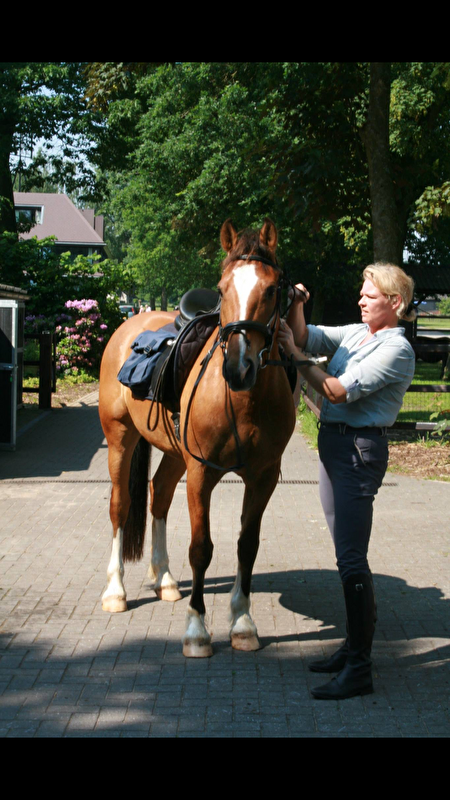 Afbeelding