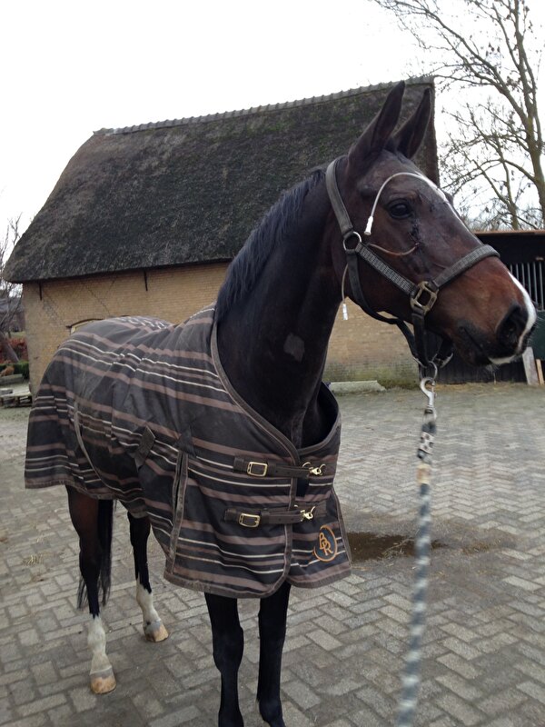 Afbeelding