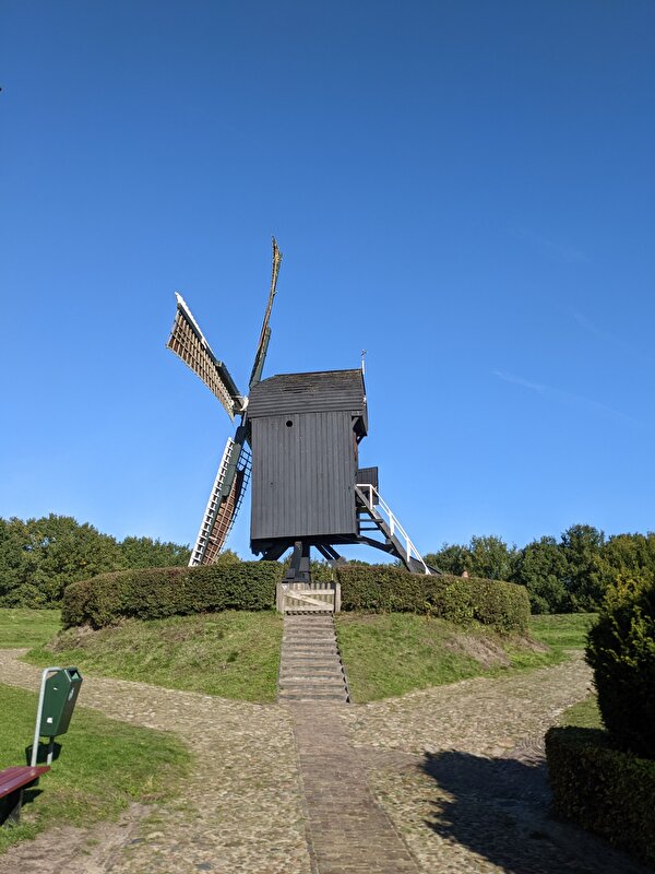 Afbeelding
