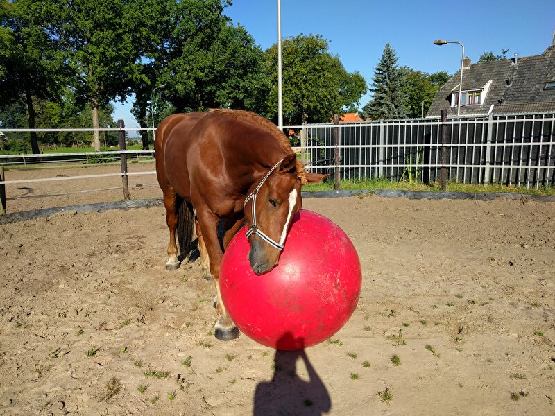 Afbeelding