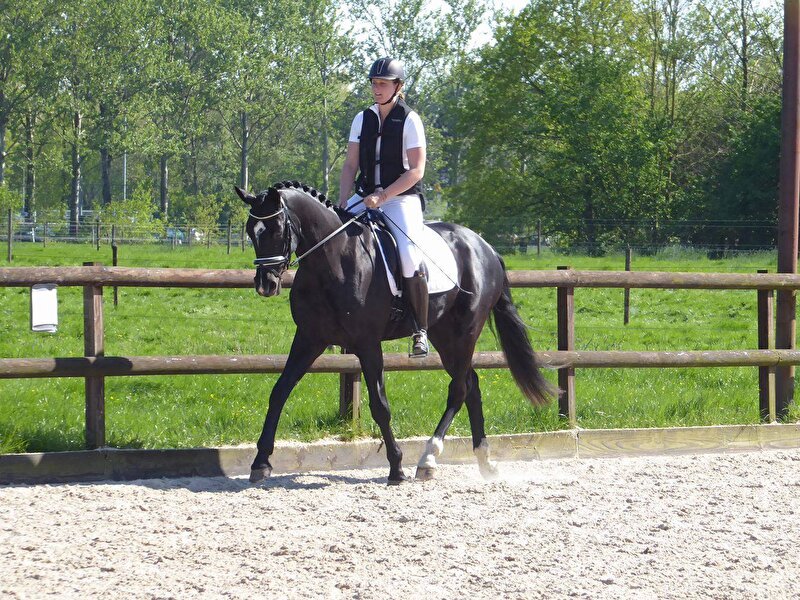 Afbeelding