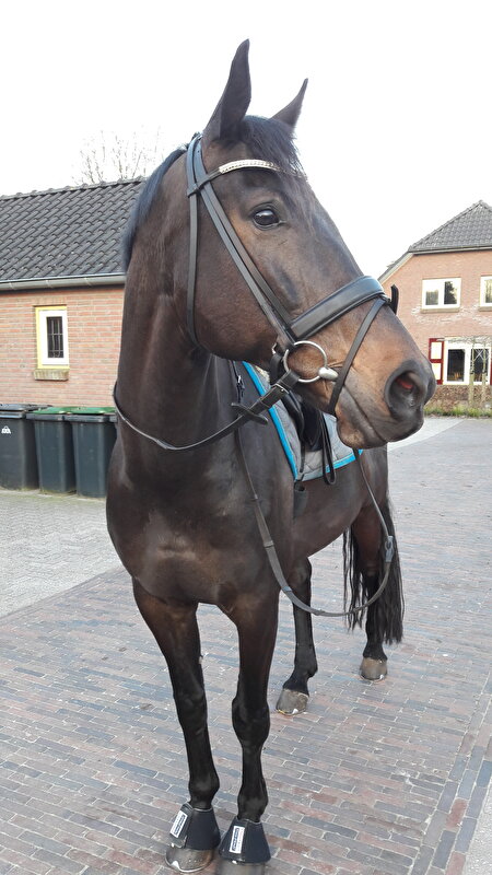 Afbeelding