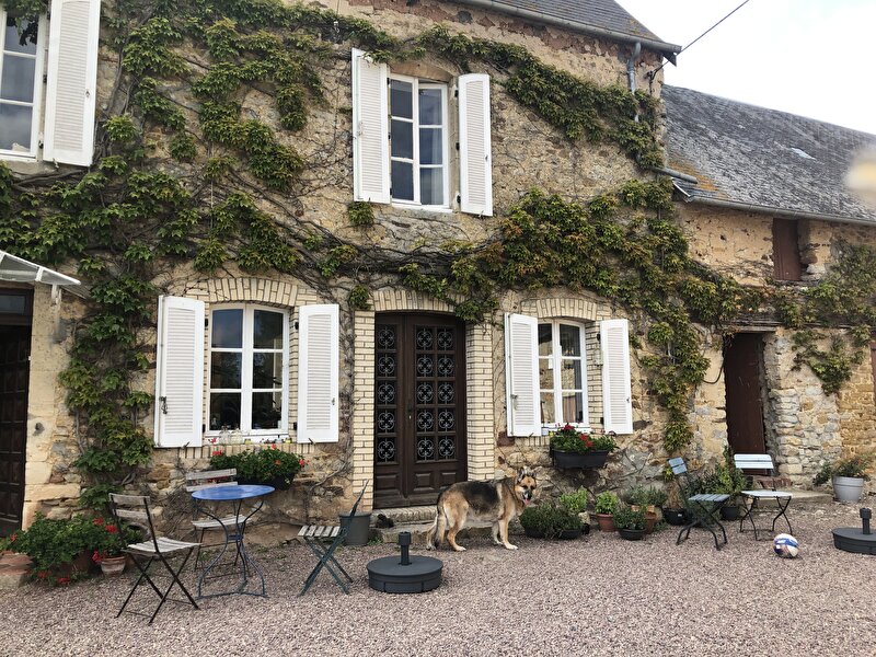 Afbeelding