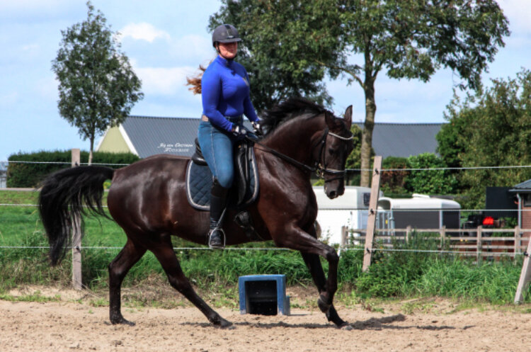 Afbeelding