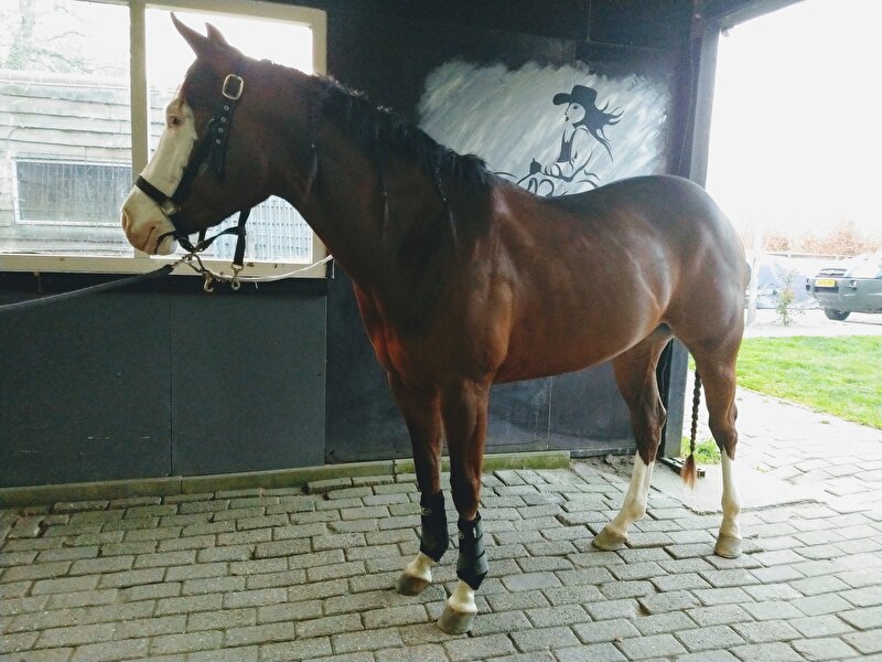 Afbeelding