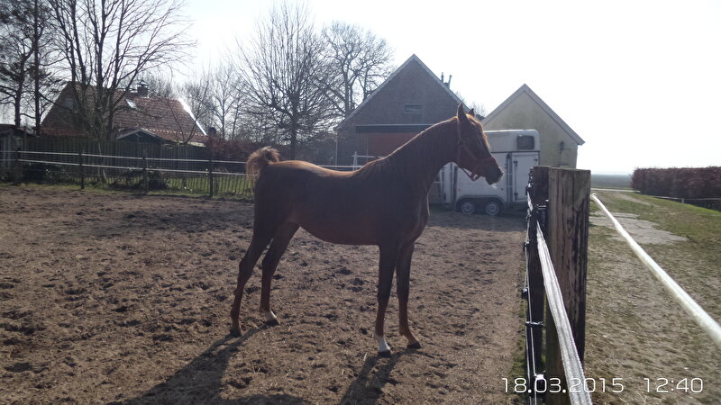 Afbeelding