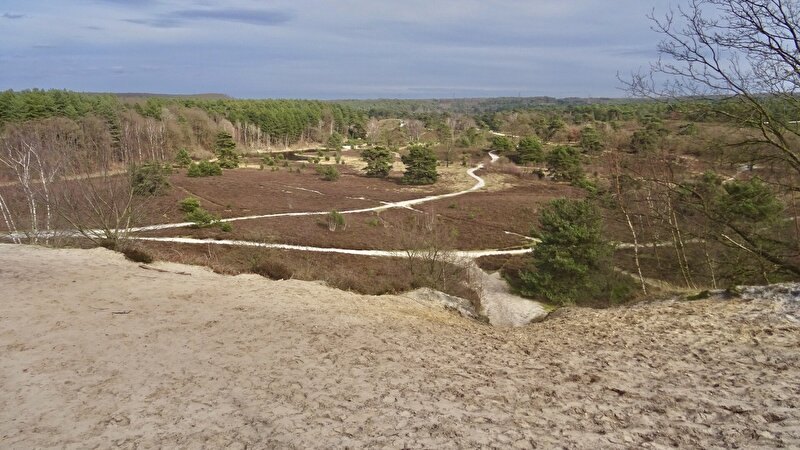 Afbeelding