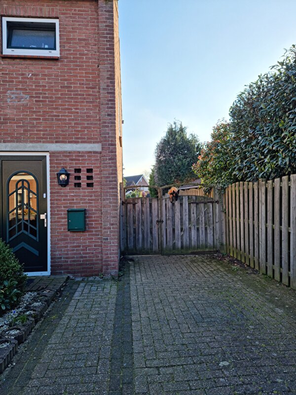 Afbeelding