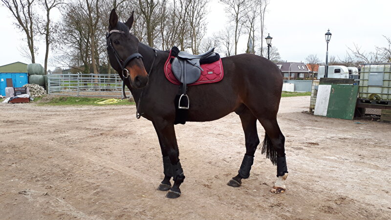 Afbeelding
