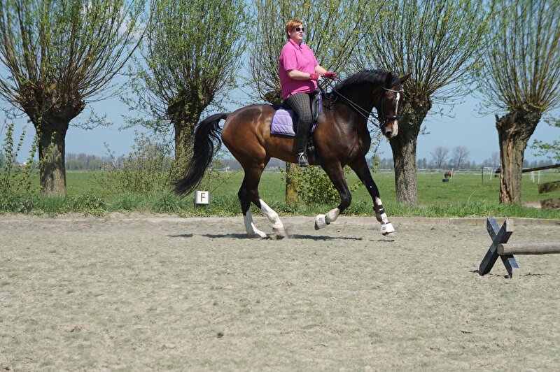 Afbeelding