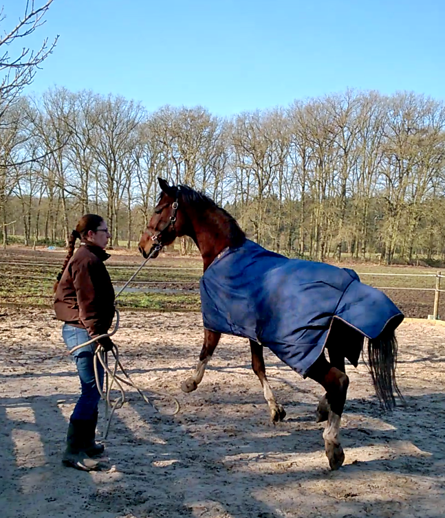 Afbeelding
