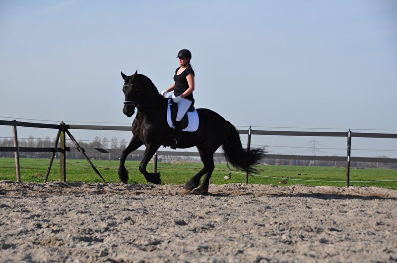 Afbeelding