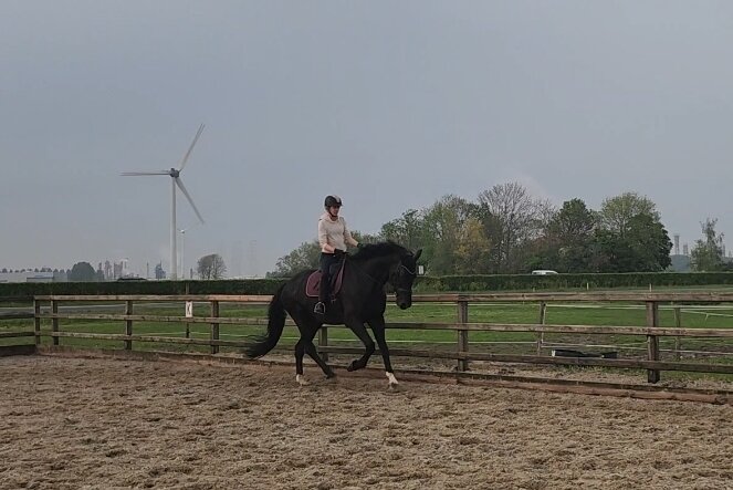 Afbeelding