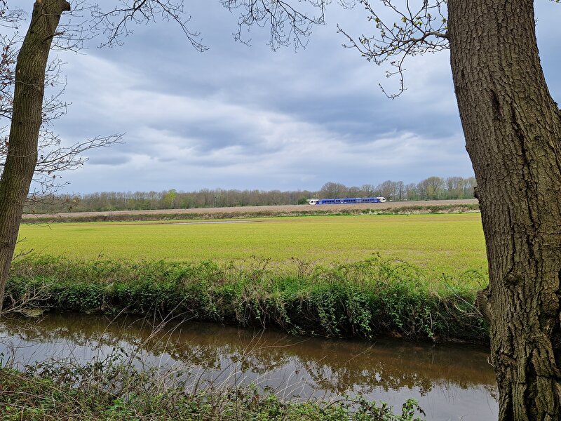 Afbeelding
