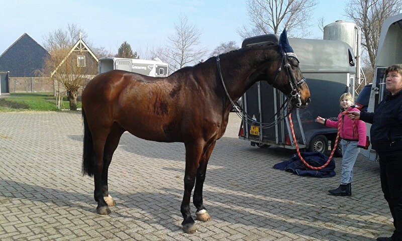 Afbeelding