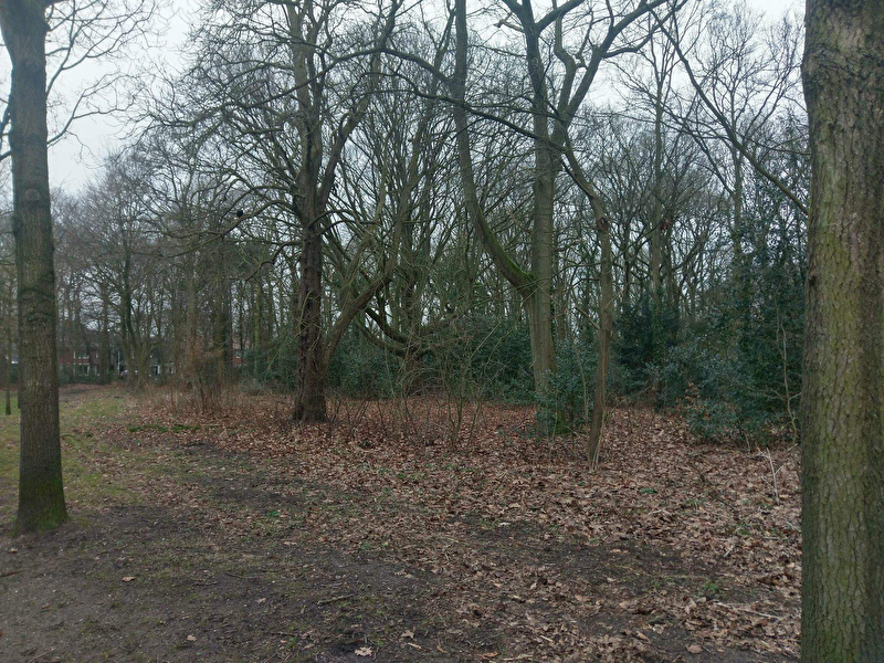 Afbeelding