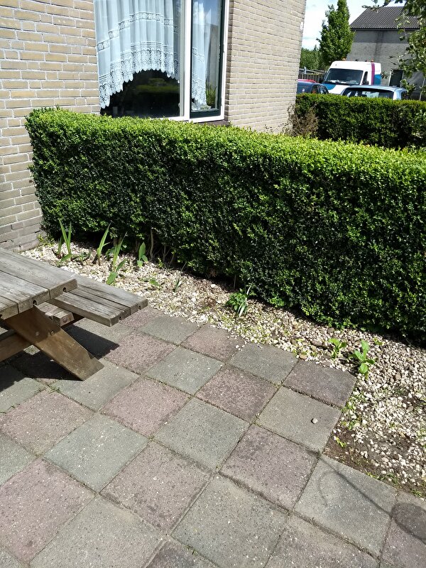 Afbeelding