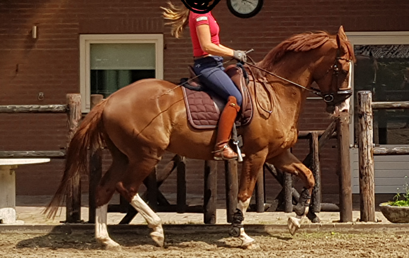 Afbeelding