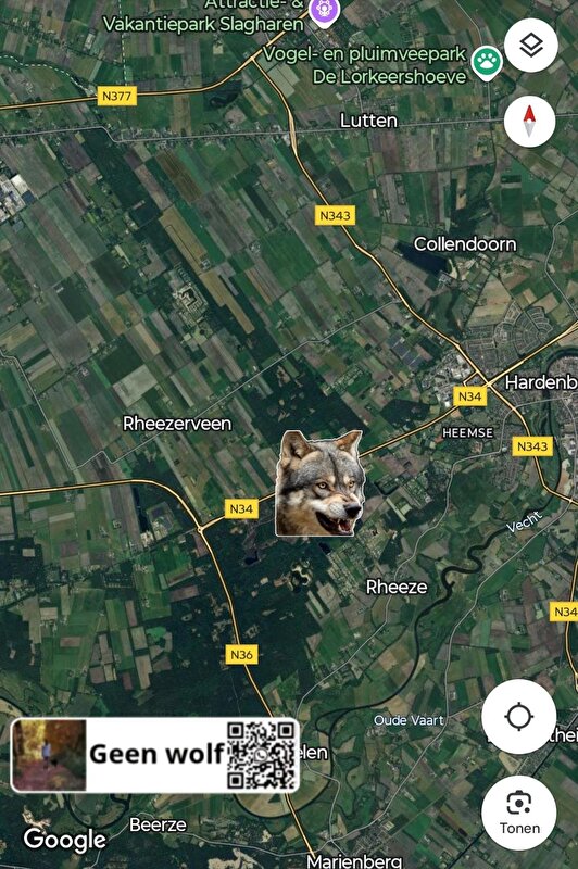 Afbeelding