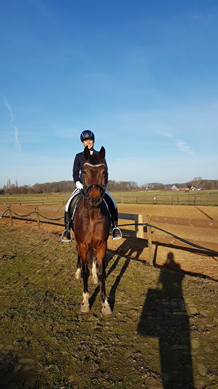 Afbeelding