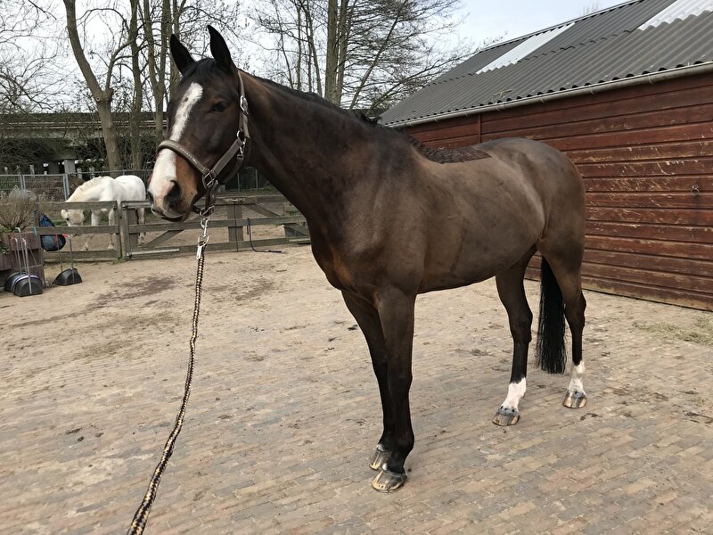 Afbeelding