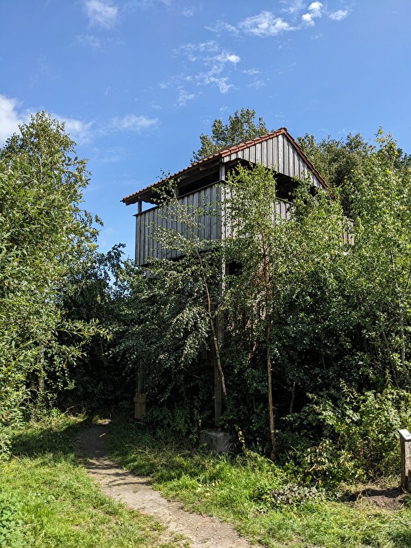 Afbeelding