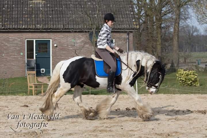 Afbeelding