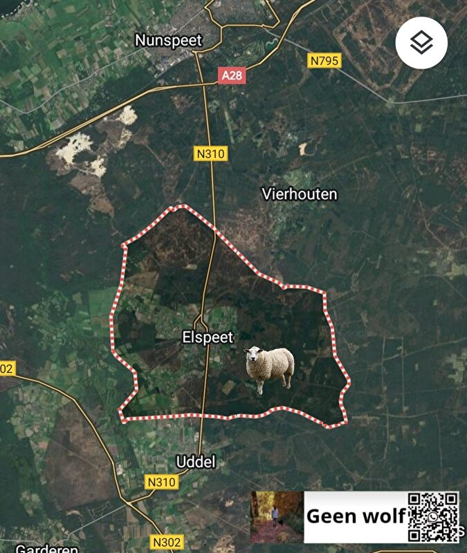 Afbeelding