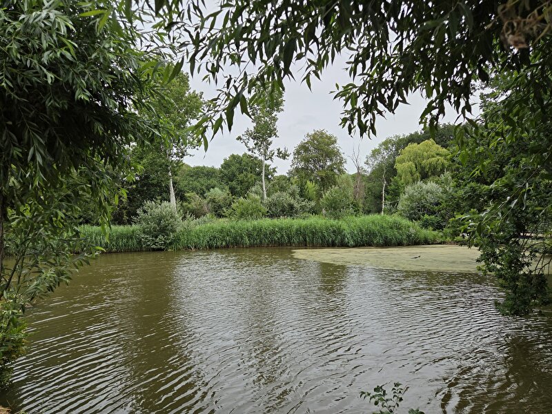 Afbeelding