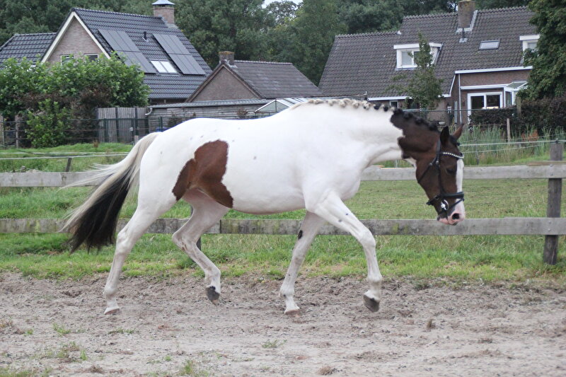 Afbeelding