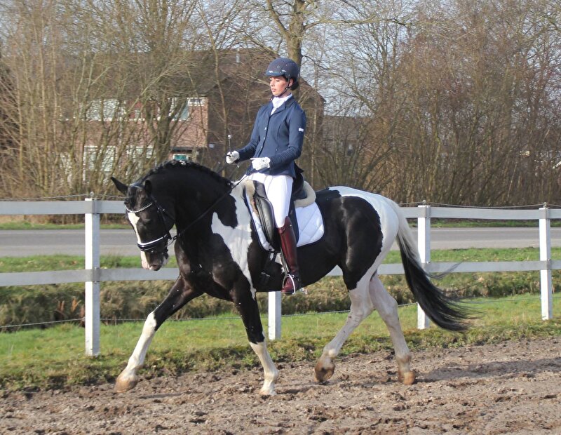 Afbeelding
