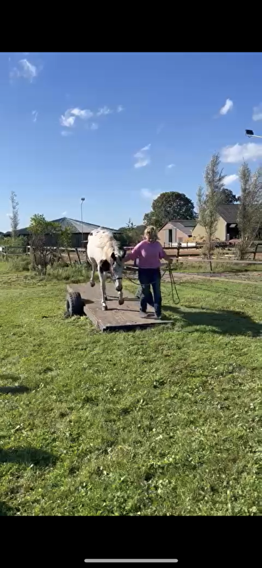Afbeelding