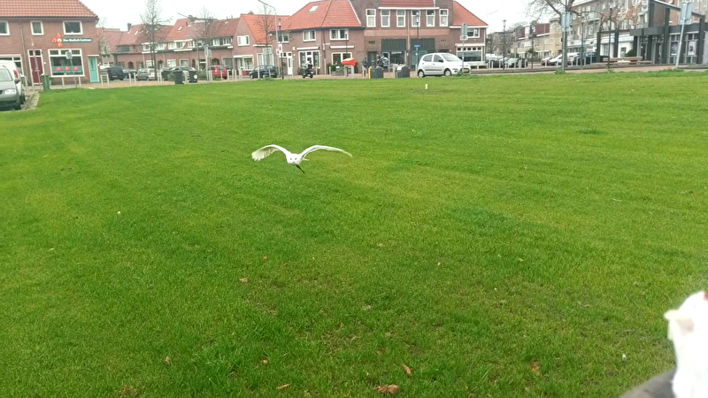 Afbeelding