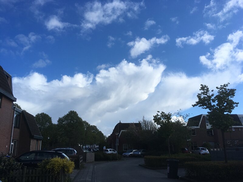 Afbeelding