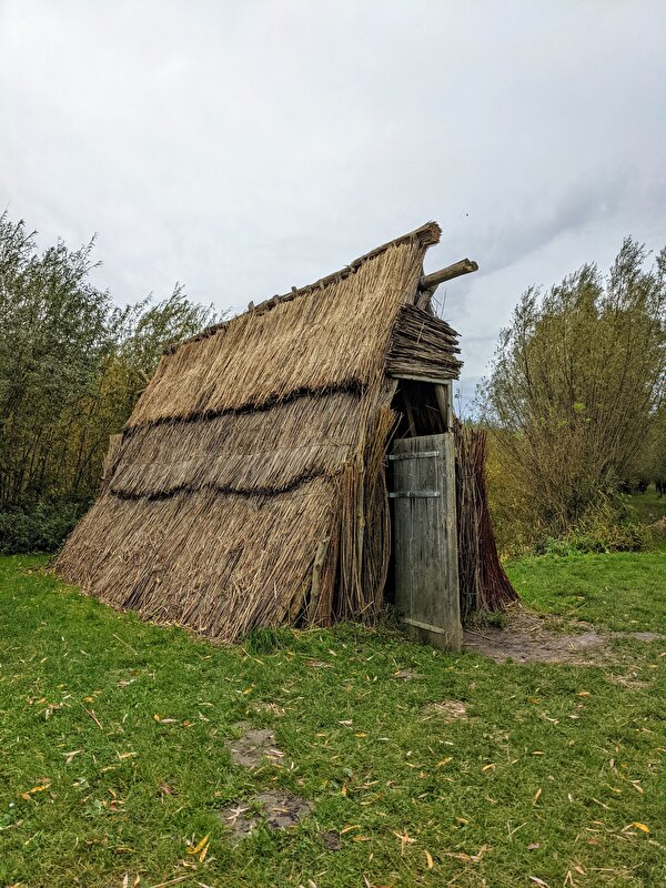 Afbeelding