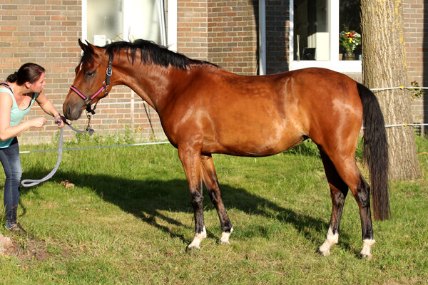 Afbeelding