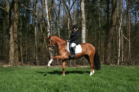 Afbeelding
