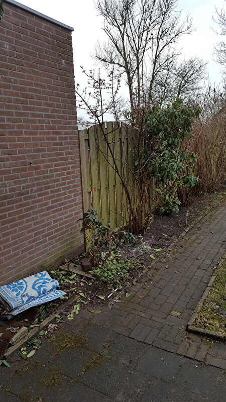 Afbeelding