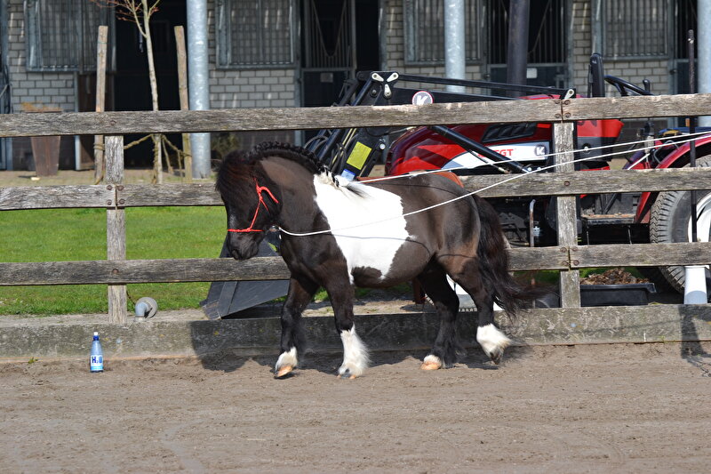 Afbeelding