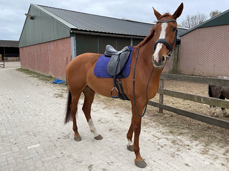 Afbeelding