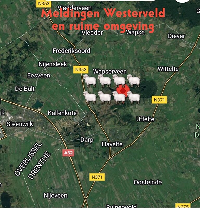 Afbeelding