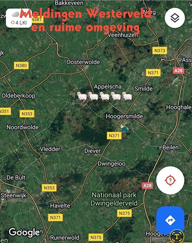 Afbeelding