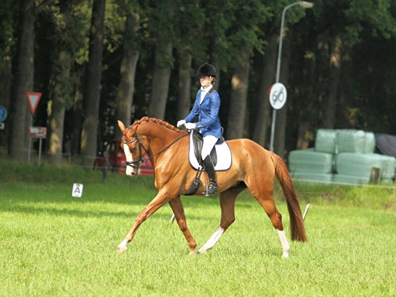 Afbeelding