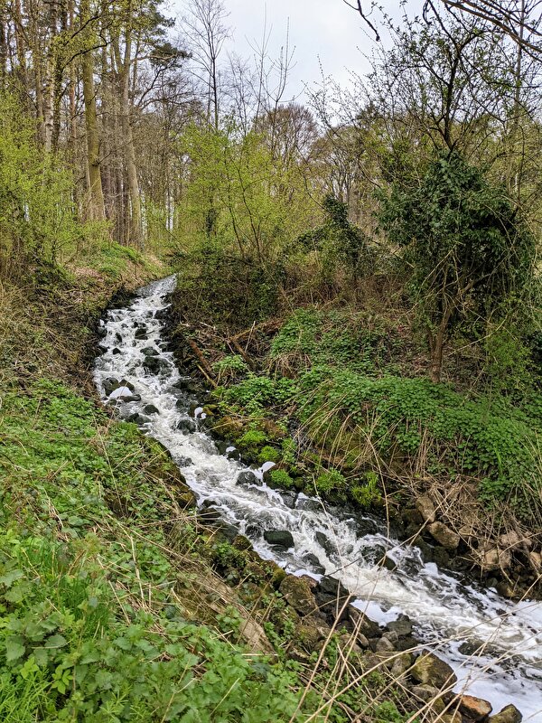 Afbeelding