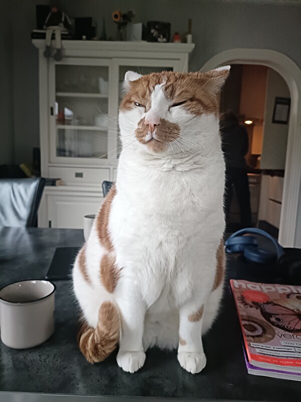 Afbeelding
