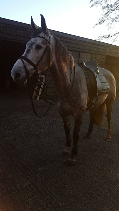Afbeelding