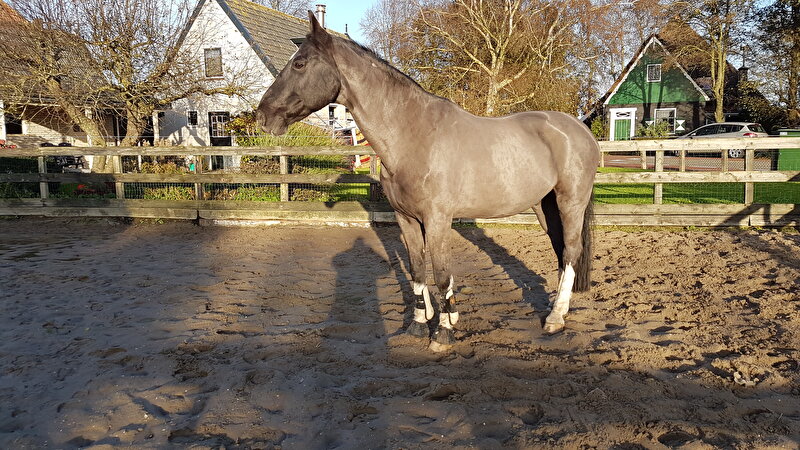 Afbeelding