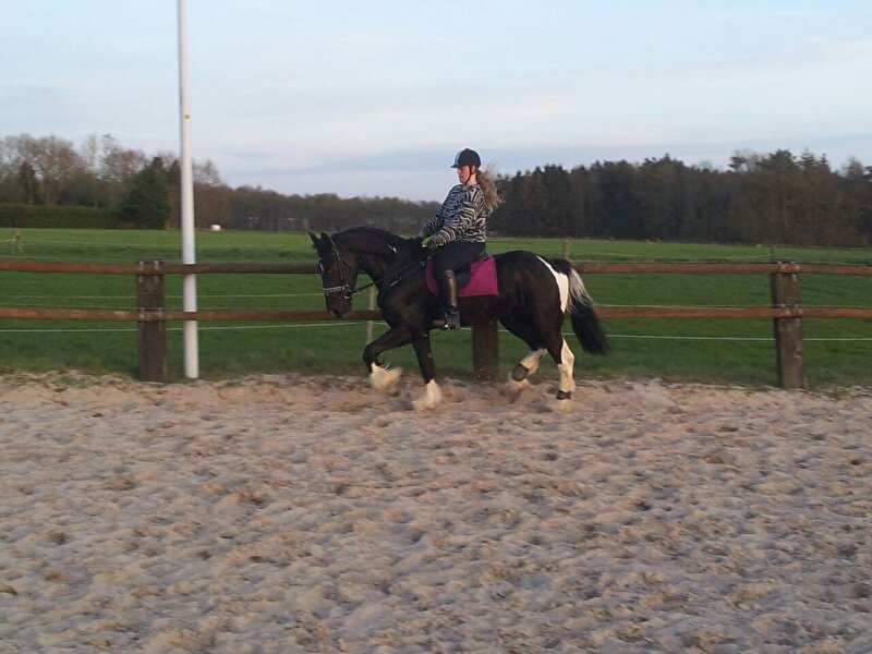 Afbeelding